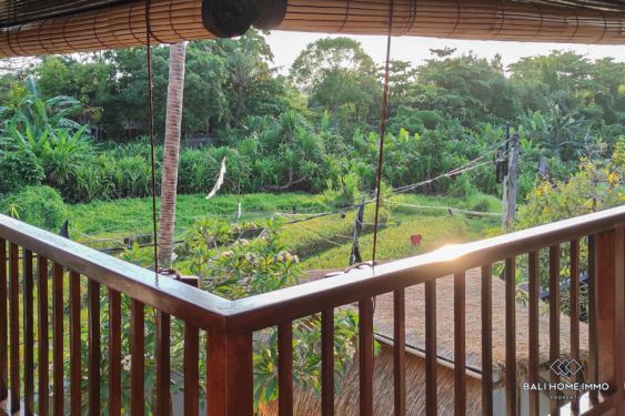 Image 8 from Dijual Villa 2 Kamar Berpemandangan Sawah di Bali Pererenan Tumbak Bayuh