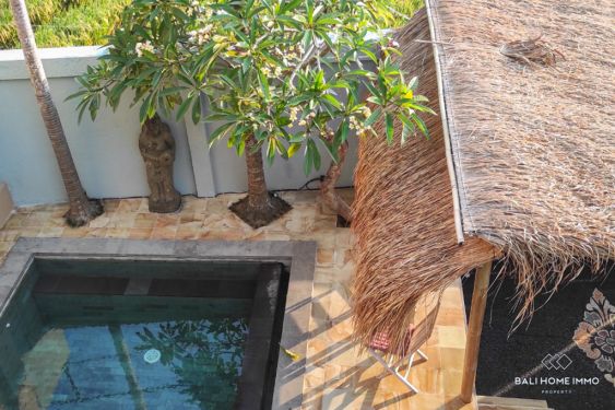 Image 16 from Dijual Villa 2 Kamar Berpemandangan Sawah di Bali Pererenan Tumbak Bayuh