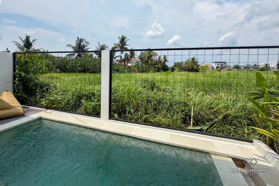 Image 11 from Ricefield View 2 Bedroom Villa for Sale Leasehold in Bali Tanah Lot North Side