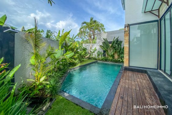 Image 2 from Villa Pemandangan Sawah 3 Kamar Disewakan Bulanan di Bali Pererenan Utara