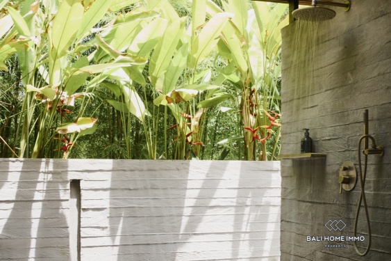 Image 15 from VUE SUR LES RIZIÈRES VILLA MODERNE DE 3 CHAMBRES À LOUER À PERERENAN BALI