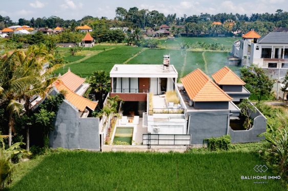 Image 19 from Ricefield View 3 Bedroom Villa for Rent and Sale in Bali Ubud