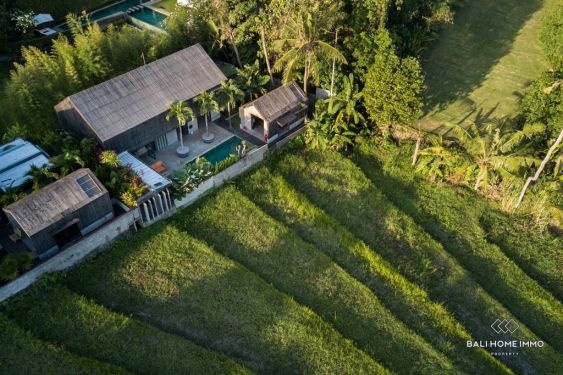 Image 8 from VILLA DE 3 CHAMBRES À LOUER À BALI PERERENAN AVEC VUE SUR LES RIZIÈRES