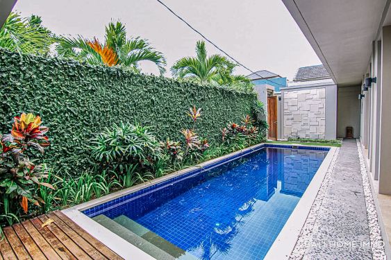 Image 4 from 3 Bedroom Villa for Rentals in Bali Canggu Berawa