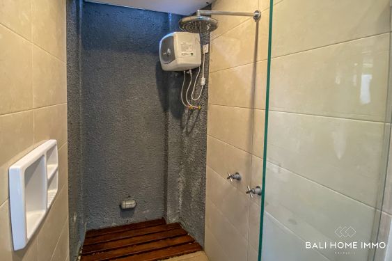 Image 18 from 3 Bedroom Villa for Rentals in Bali Canggu Berawa