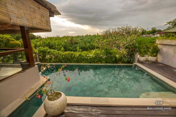 Image 4 from 3 Bedroom Villa for Sale in Bali Canggu