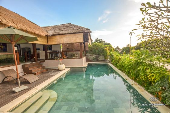 Image 3 from 3 Bedroom Villa for Sale in Bali Canggu