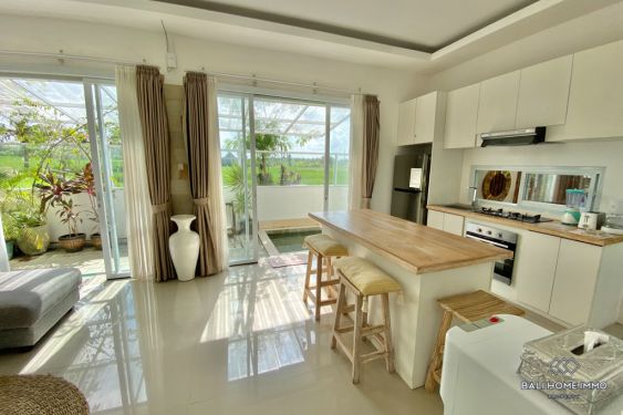 Image 3 from Ricefield View 3 Bedroom Villa for Yearly Rental in Bali Canggu - Berawa