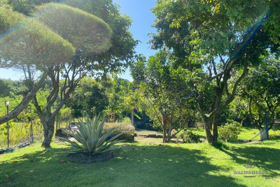 Image 18 from Vila dengan pemandangan sawah 3 kamar tidur dijual hak milik di Bali Dekat Pantai Pasut