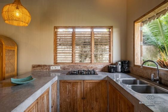 Image 11 from RICEFIELD VIEW 4 BEDROOM VILLA FOR SALE AND RENTAL IN CANGGU RESIDENTIAL SIDE BALI