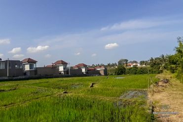 Image 1 from Terrain avec vue sur le champ de riz à vendre à 220 m de la plage de Cemagi