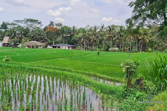Image 3 from Vue sur le champ de riz Terrain à vendre en pleine propriété à Bali Ubud