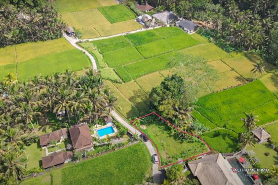 Image 2 from Vue sur le champ de riz Terrain à vendre en pleine propriété à Bali Ubud