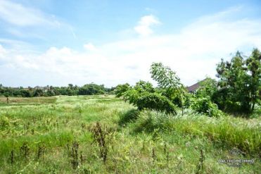 Image 3 from Ricefield View Land For Sale Freehold in Canggu - Berawa