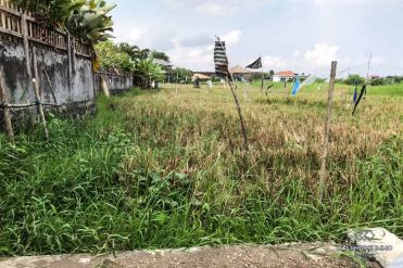 Image 3 from Terrain avec vue sur la rizière à vendre à Batu Bolong