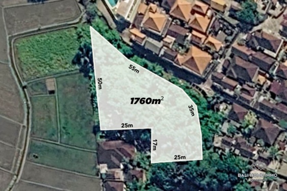 Ricefield View Land for Sale in Kaba Kaba