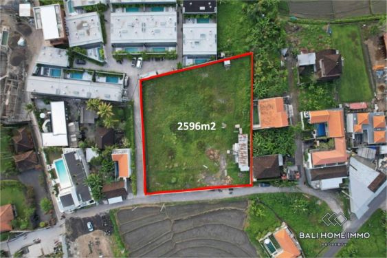 Image 1 from Ricefield View Land for Sale in Kaba Kaba Tanah Lot Northside