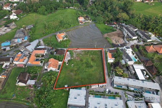 Image 3 from Ricefield View Land for Sale in Kaba Kaba Tanah Lot Northside