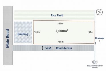 Image 3 from Terrain avec vue sur la rizière à vendre à Kaba-Kaba