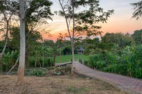 Image 3 from RICEFIELD VIEW LAND FOR SALE LEASEHOLD IN BALI PERERENAN