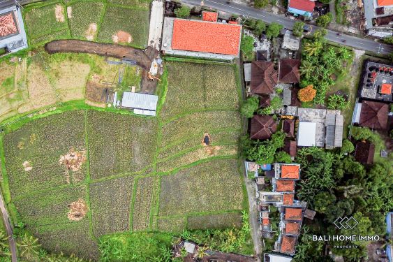 Image 3 from Vue sur le champ de riz Terrain à vendre avec bail à Bali Pererenan