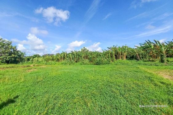 Image 3 from Ricefield View Land for Sale Leasehold in Bali Petitenget