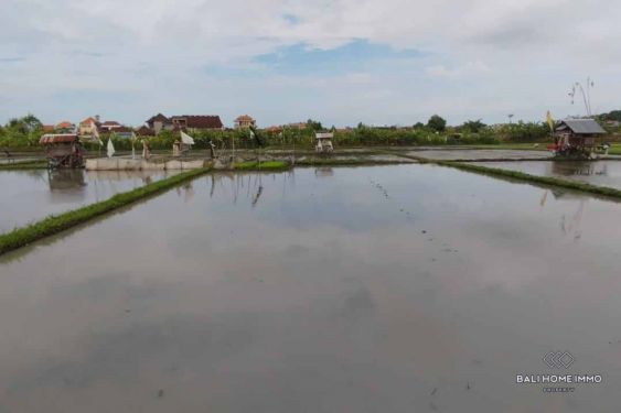 Image 2 from Ricefield View Land for Sale Leasehold in Bali Seminyak