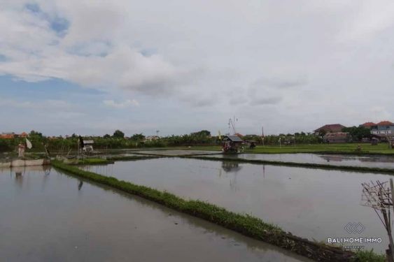 Image 5 from Ricefield View Land for Sale Leasehold in Bali Seminyak