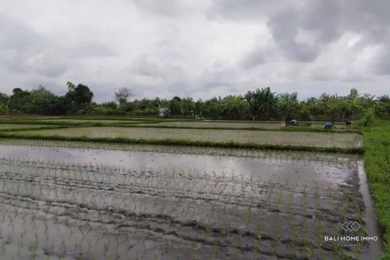 Image 2 from Terrain avec vue sur Ricefield à vendre à bail à Bali Seminyak