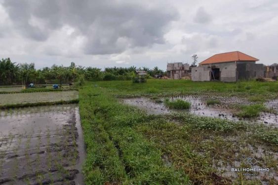 Image 5 from Ricefield View Land for Sale Leasehold in Bali Seminyak