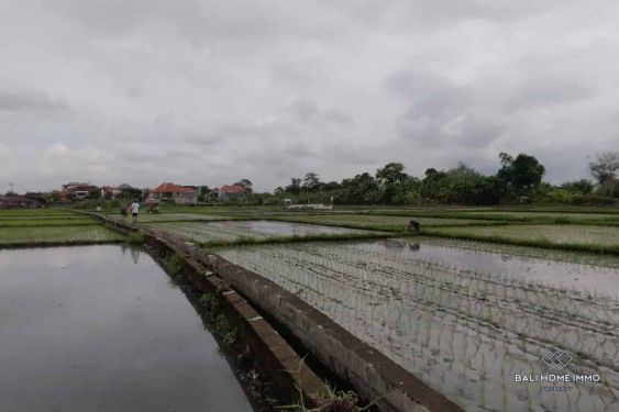 Image 4 from Ricefield View Land for Sale Leasehold in Bali Seminyak