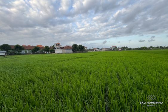 Image 2 from Tanah Pemandangan Sawah Disewakan Jangka Panjang di Bali Seminyak