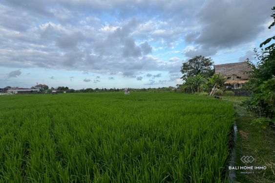 Image 3 from Tanah Pemandangan Sawah Disewakan Jangka Panjang di Bali Seminyak