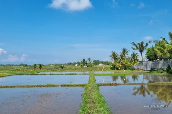 Image 2 from Ricefield View Land for Sale Leasehold in Bali Nyanyi