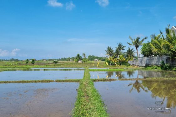 Image 3 from vue sur le champ de riz  Terrain à vendre avec option d'achat à Bali Nyanyi