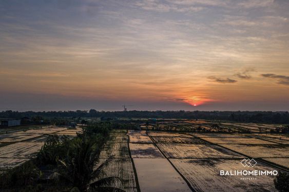 Image 9 from RICEFIELD VIEW LAND FOR SALE LEASEHOLD IN CEMAGI