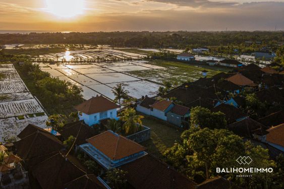 Image 6 from RICEFIELD VIEW LAND FOR SALE LEASEHOLD IN CEMAGI