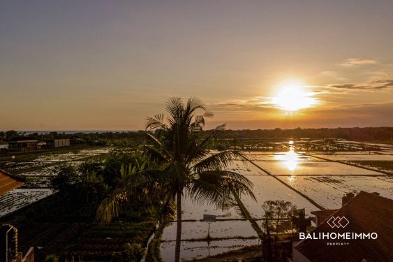 Image 8 from RICEFIELD VIEW LAND FOR SALE LEASEHOLD IN CEMAGI