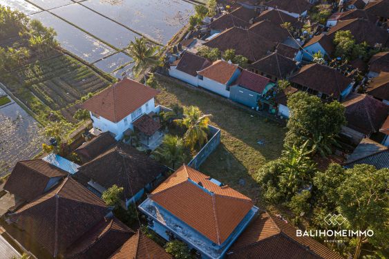 Image 5 from RICEFIELD VIEW LAND FOR SALE LEASEHOLD IN CEMAGI