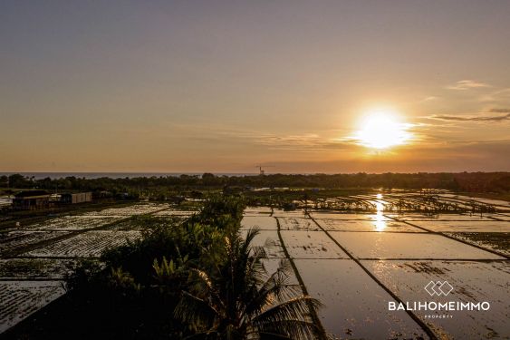 Image 7 from RICEFIELD VIEW LAND FOR SALE LEASEHOLD IN CEMAGI