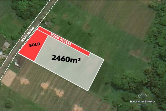 TERRAIN AVEC VUE SUR LE CHAMP DE RIZ À VENDRE EN FERMAGE À NYANYI PRÈS DE LA PLAGE