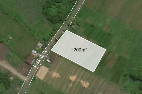 Image 1 from TERRAIN AVEC VUE SUR LE CHAMP DE RIZ À VENDRE EN FERMAGE À NYANYI PRÈS DE LA PLAGE