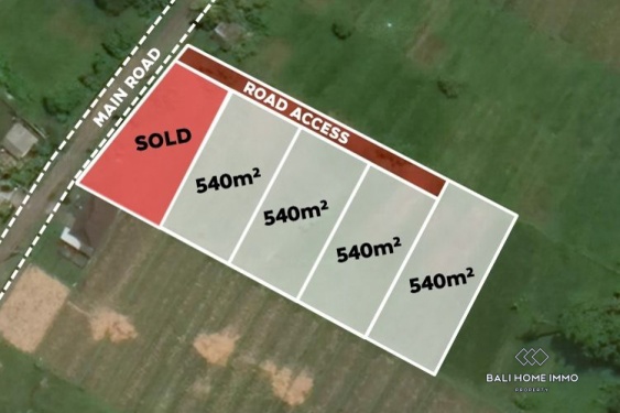TERRAIN AVEC VUE SUR LE CHAMP DE RIZ À VENDRE EN FERMAGE À NYANYI PRÈS DE LA PLAGE