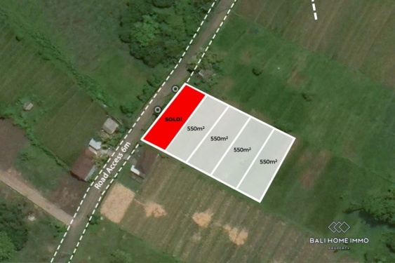 Image 1 from TANAH PEMANDANGAN SAWAH DISEWAKAN DI NYANYI DEKAT PANTAI