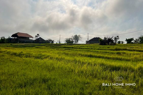 Image 4 from RICEFIELD VIEW LAND FOR SALE LEASEHOLD IN NYANYI CLOSE TO THE BEACH