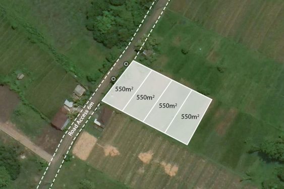 Image 1 from TERRAIN AVEC VUE SUR LE CHAMP DE RIZ À VENDRE EN FERMAGE À NYANYI PRÈS DE LA PLAGE