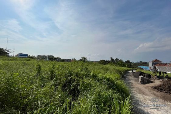 Image 2 from Vue sur le champ de riz Terrain à vendre avec option d'achat à Pererenan