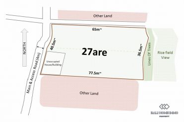 Image 2 from Rizière vue terrain à vendre bailhold à Tabanan