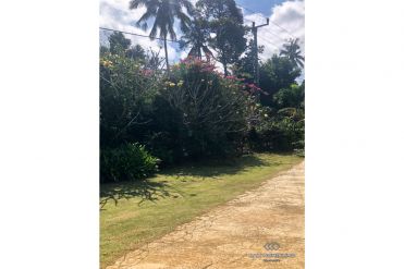 Image 4 from Ricefield View Land For Sale Leasehold in Tabanan