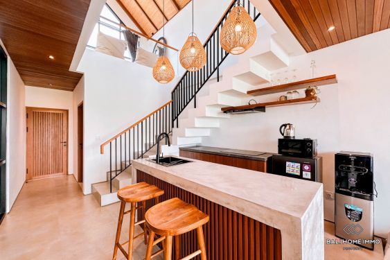 Image 4 from RICEFIELD VIEW OFF-PLAN 1 BEDROOM VILLA FOR SALE LEASEHOLD IN BALI CANGGU